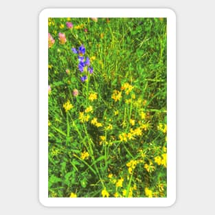 summer meadow Sticker